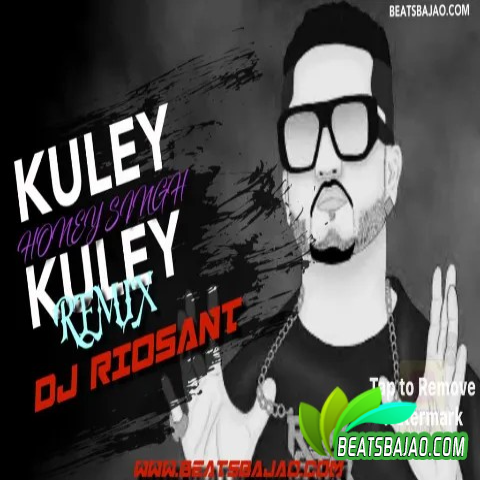 Kuley Kuley Eletronic Bhangra Mix DJ RioSant cover