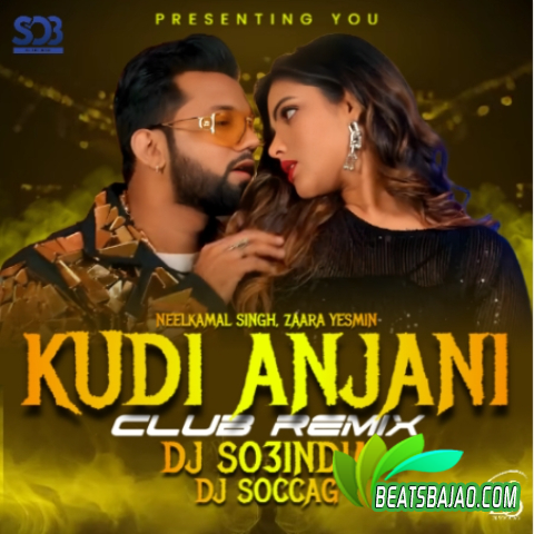 Kudi Anjani Remix DJ So3India cover