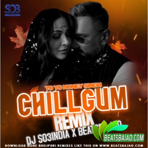 CHILLGUM REMIX - DJ SO3INDIA cover